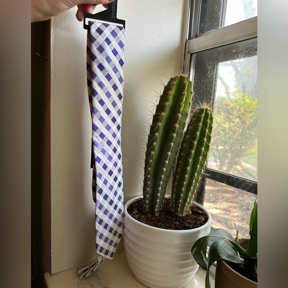 NWT Express men’s tie